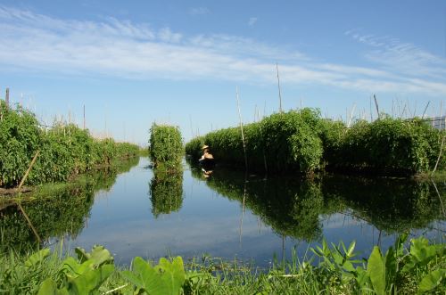 Inle_Lake,Floating_Garden