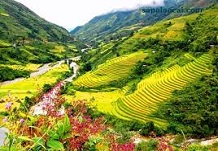 Through Hoang Lien National Park to Lao Cai