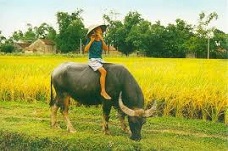 COUNTRYSIDE BIKING SAFARIS