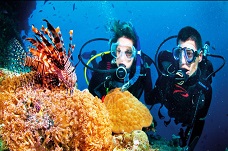 DIVING TOUR AT MUN ISLAND (SIC TOUR)