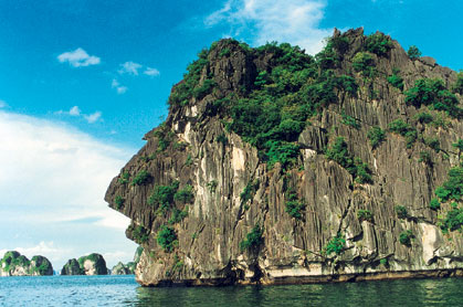 HA LONG BAY CRUISE ABOARD PALOMA