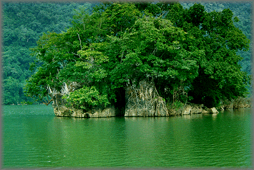 Ba Be (Bac Kan) Homestay overnight 