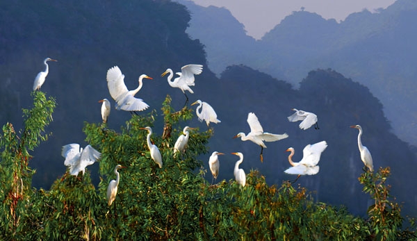 Ninh Binh "Hoa Lu, Van Long"