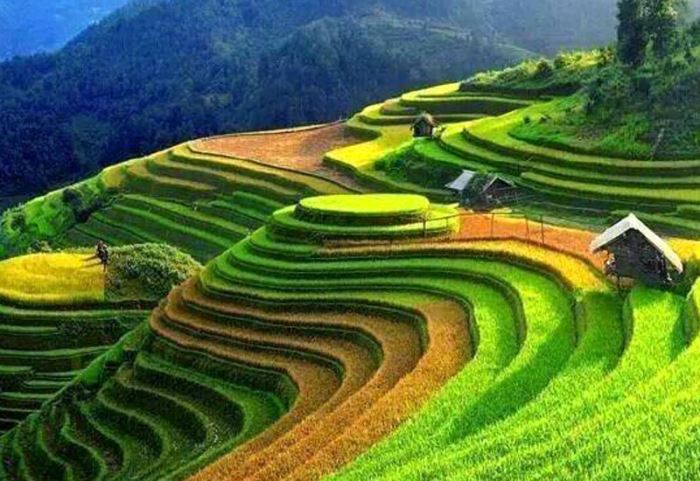 The North West Vietnam Trip( 15-23SEPT2016) The North West Vietnam Trip( 15-23SEPT2016)