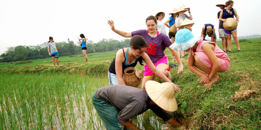 Les Splendeurs du Vietnam